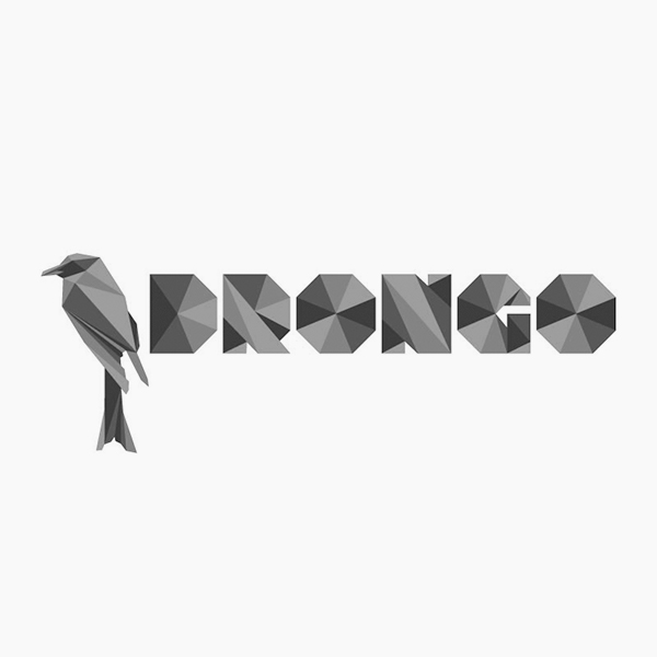 Drongo